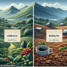 two paintings of coffee beans and mountains with the words arricia and roubuta