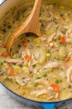 a pot filled with chicken and vegetable soup