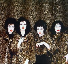 three women in leopard print outfits posing for the camera