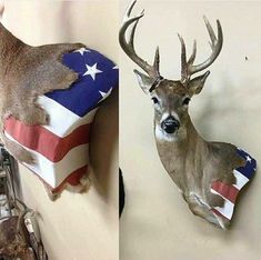 two pictures of deer heads with the american flag on it's back and another photo of an antelope