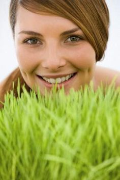 Find your way to better health. Natural Sources Of Iron, Wheatgrass Benefits, Wheatgrass Powder, Small Intestine Bacterial Overgrowth, Liver Detoxification, Preventative Health, Liver Detox, Naturopathy, Wheat Grass