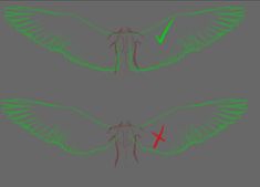 an image of the back side of a bird with wings spread out and two green arrows pointing