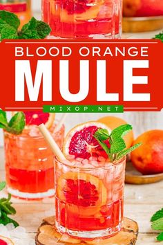 Try this blood orange mule recipe! Delicious and refreshing with a bright color, this twist on the traditional Moscow mule is an alcoholic Christmas drink everyone will enjoy. Put this on your Christmas brunch menu ideas! Christmas Brunch Menu Ideas, Fun Christmas Cocktails, Brunch Menu Ideas, Christmas Brunch Menu, Easy Christmas Party, Christmas Drinks Alcohol, Mule Recipe, Christmas Drink