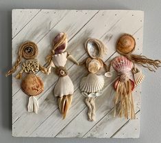 several seashells and shells are arranged on a white wooden paneled wall hanging