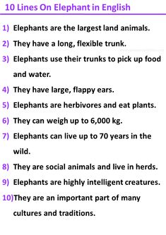 the ten lines on elephant in english