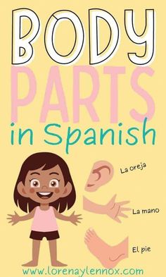 Inside you can find a comprehensive list of the parts of the body in Spanish including a free printable worksheet and flashcards in Spanish. Body Parts In Spanish, Toddler Skills, Spanish Flashcards, Spanish Education, Spanish Projects, Spanish Lessons For Kids, Classroom Anchor Charts, Spanish Worksheets