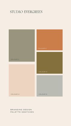 the color palette for studio evergreen