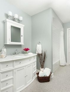 a large bathroom with white cabinets and gray carpeted flooring is pictured in this image