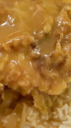 a plate with rice, meat and gravy covered in gravy on it