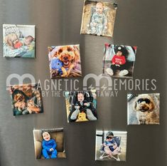 magnets on the side of a refrigerator with pictures of babies and dogs