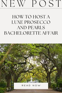 the front cover of new post how to host a luve proscco and pearls bachelor affair