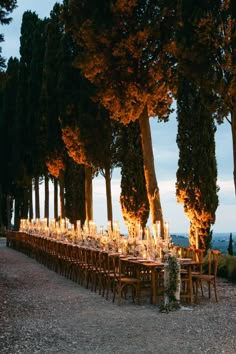 a long table is set up in the middle of an outdoor area with tall trees