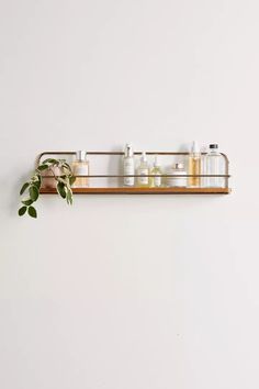 a wooden shelf with bottles and plants on it