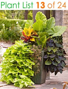 a planter filled with lots of different types of plants