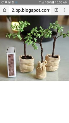 three bonsai trees sitting in small pots next to an air purifier