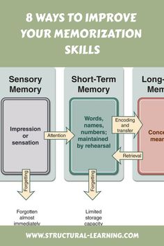 Infographic describing 8 ways to improve your memorization skills, divided into sensory memory, short-term memory, and long-term memory processes, with a focus on attention, encoding, and retrieval. Website link at the bottom. Best Way To Memorize Something, Memorization Techniques, Educational Theories, Student Growth, Classroom Management Tips, Memorization, Teaching Skills, Effective Learning, Teaching Practices