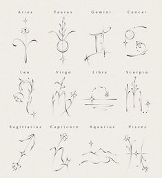 an image of zodiac signs and their meanings