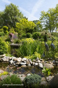 a pond surrounded by rocks and plants