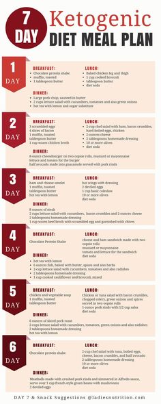 1200 Calorie Diet Meal Plans, Chocolate Protein Shakes, Low Carb Diets, Ketogenic Diet Meal Plan, Keto Brownies, Ketogenic Diet Plan, Makanan Diet, Carbohydrate Diet, Low Carbohydrate Diet