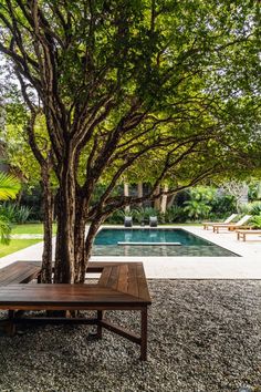 a table sitting under a tree next to a swimming pool