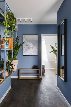 a room with blue walls and wooden flooring is shown in this image, there are plants on the shelves