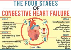 Cardiovascular Notes, Abg Analysis, Chf Symptoms, Geriatric Nursing, Nurse Education, Np School, Cardiac Rhythms