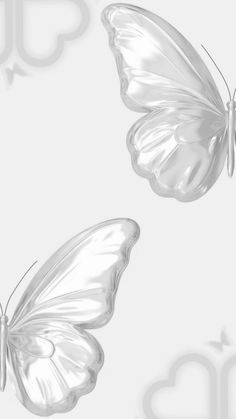 two white butterflies flying next to each other on a gray and white background with the words up above it