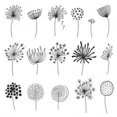 the dandelions are drawn in black and white