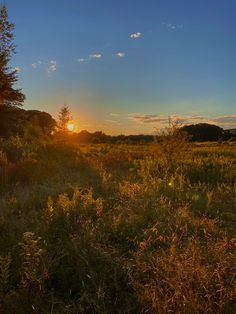 an evening on the marsh with forest surrounding. Late Summer Nights, Southern Maine, English Summer, Country Summer, British Summer, Summer Afternoon, Pretty Landscapes, Sun Goes Down, Summer Sunset