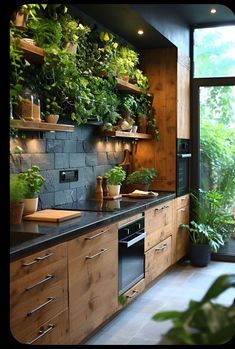 a kitchen filled with lots of green plants