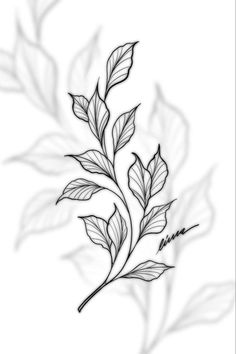 a black and white drawing of leaves