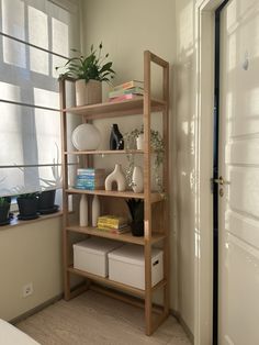 a shelf with some plants and books on it next to a door in a room