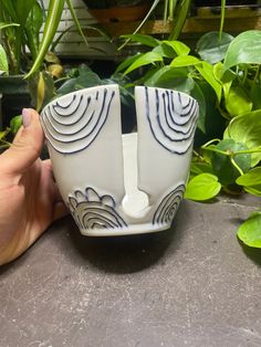 a hand holding a white and blue vase in front of some green plants on a table