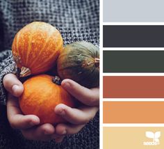 the color scheme is pantone's autumn mood