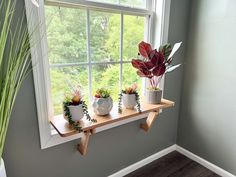 three potted plants are sitting on a window sill