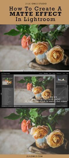 three images of flowers in vases with text overlay that reads how to create a matte effect in lightroom