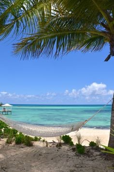 a hammock hanging between two palm trees on the beach