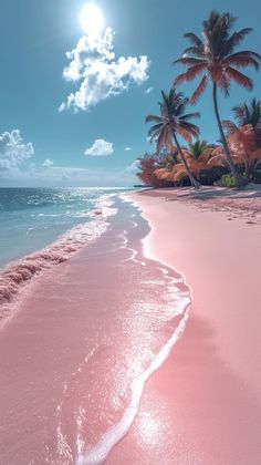 pink sand beach with palm trees and blue sky