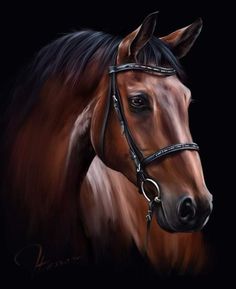 a brown horse with black bridle on it's head is shown against a dark background