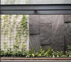 an outdoor living area with plants growing on the wall and in front of it is a bench