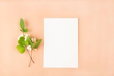 a blank paper and some flowers on a pink background