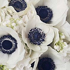 an arrangement of white and blue flowers with black centers on the center, in a bouquet