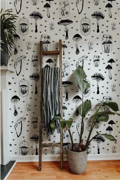 a plant in a pot next to a wallpaper with mushrooms and plants on it