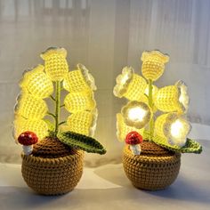 two small crocheted pots with flowers and lights in them