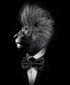 a black and white photo of a lion wearing a tuxedo with a bow tie