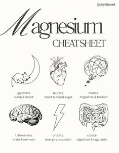 There are many types of magnesium, so understanding which each one can help with is essential. Glycinate: Calms and aids sleep, alleviates depression and anxiety. Malate: Relieves tension, migraines, and fibromyalgia. Citrate: Aids digestion and regularity. Orotate: Supports energy production, benefiting the heart and blood vessels. L-threonate: Boosts cognitive health, lowers risk of dementia and depression. Taurate: Regulates heart health, blood sugar, pressure, and inflammation. Hormone Nutrition, Types Of Magnesium, Music Prints, Feminine Health, Naturopathy, Hormone Health