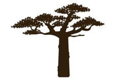 the silhouette of a tree is shown against a white background