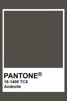 Pantone Andesite  #pantone #color Pantone Color Black, Pantone Black Palette, Pantone Black 6c, Pantone 485, Pantone Tcx Green, Pantone Black, Ads Design, Black Iris