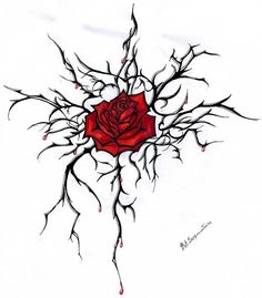 a drawing of a red rose with black branches and blood dripping down the center, on a white background