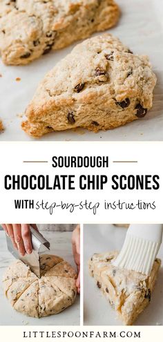 chocolate chip scones with step by step instructions